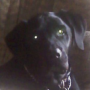 Meet your Posher, Gary